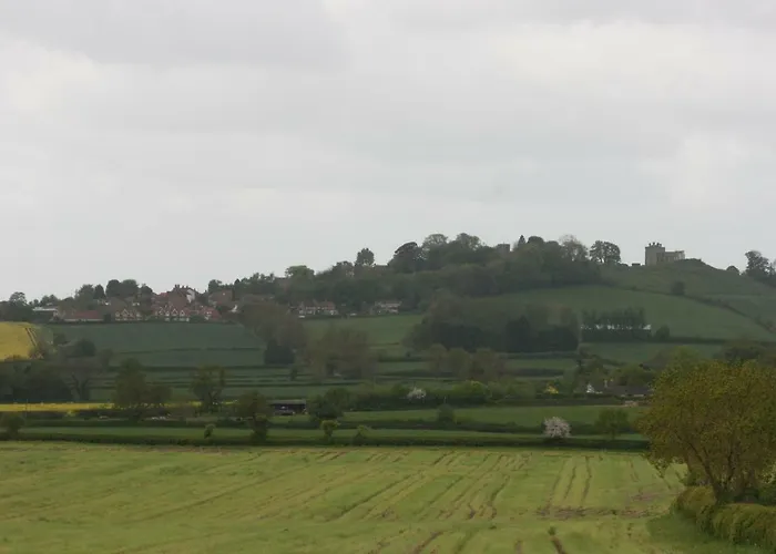Honeysuckle In Crayke Yo61 4te York