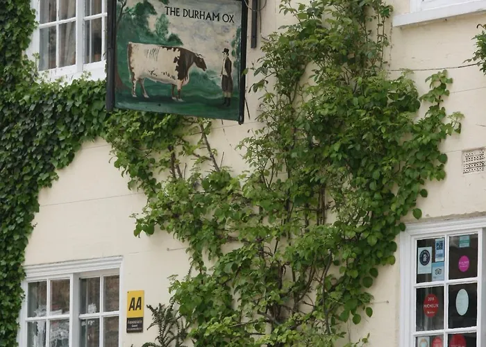 Honeysuckle In Crayke Yo61 4te Apartment *